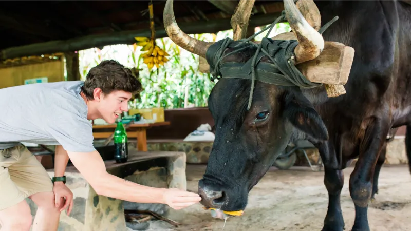 VANDARA HOT SPRINGS HORSEBACK RIDING ZIP LINES WATER SLIDE BEST THINGS TO DO NEAR DREAMS LAS MAREAS LA CRUZ GUANACASTE LIBERIA AIRPORT TRANSFER BEST TOURS SHUTTLE SERVICE 14