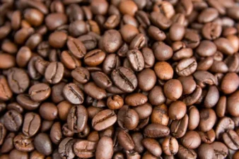 Coffee Tour