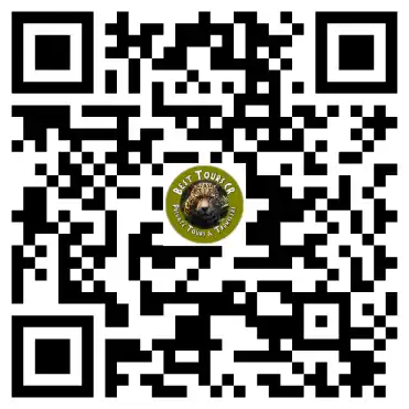 Review qrcode jaguar