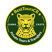 BestToursCR Jaguar Logo Watermark Big