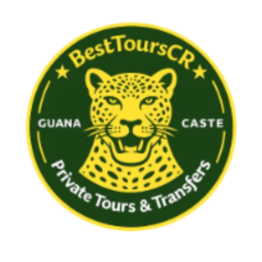 cropped Jaguar Logo Watermark Big