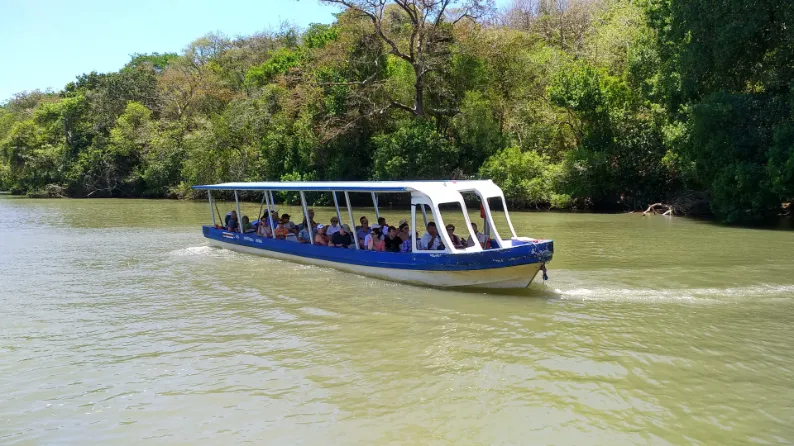 Bebedero River Boat Tour